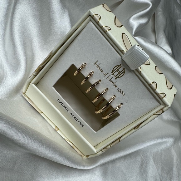 Mini Hoop Earnings - Picture 5 of 5